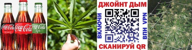 где найти наркотики  Ленинск-Кузнецкий  Canna-Cookies марихуана 