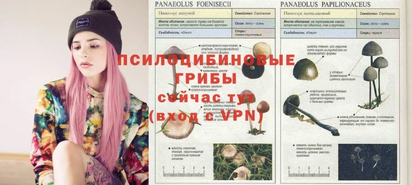 каннабис Алексин