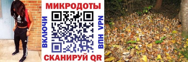 Псилоцибиновые грибы мухоморы  Ленинск-Кузнецкий 
